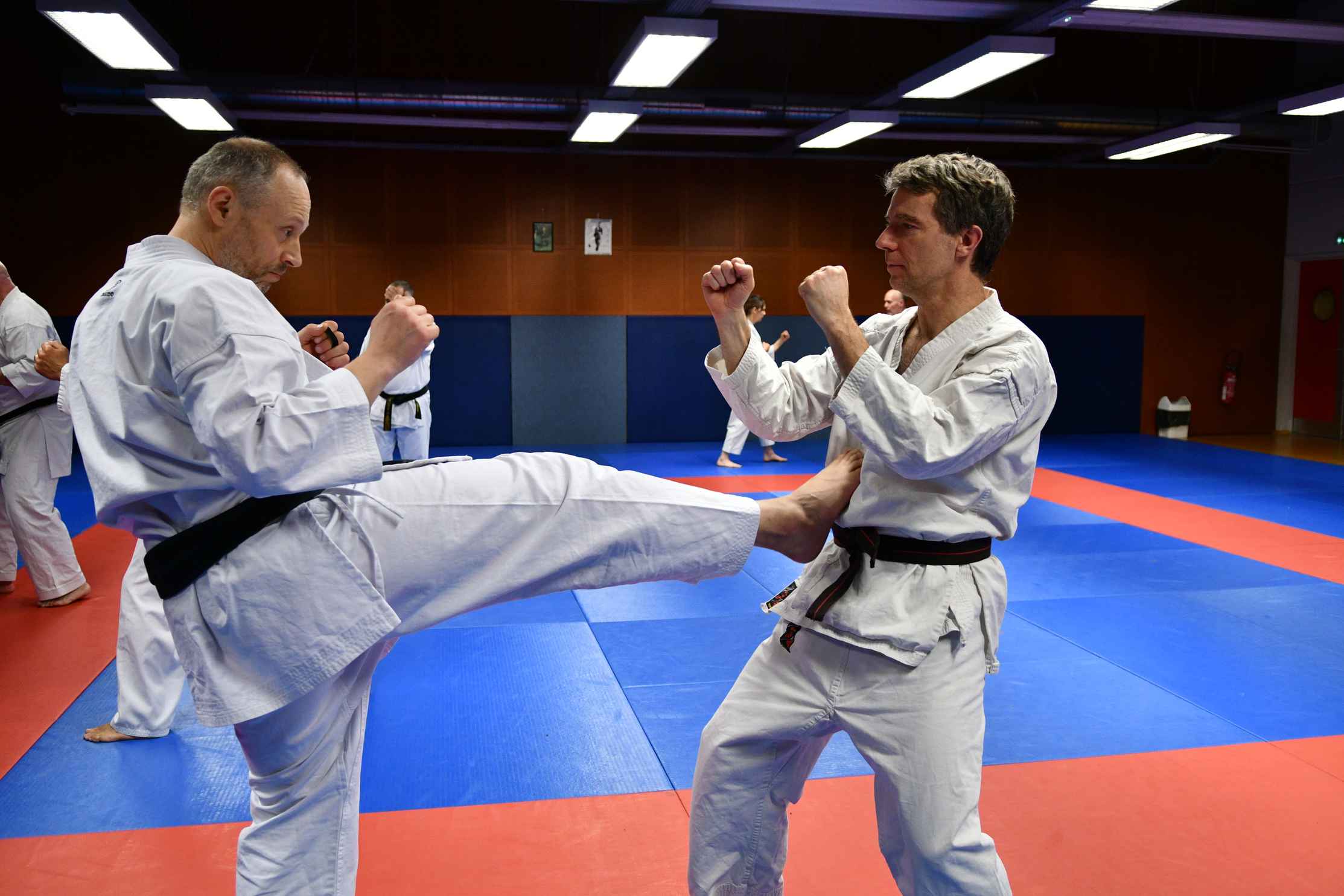 Entrainement-au-Shotokan-Karaté-Antony